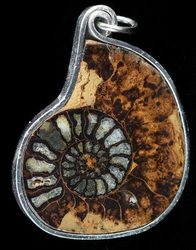 Moroccan Ammonite Fossil Pendant #58385